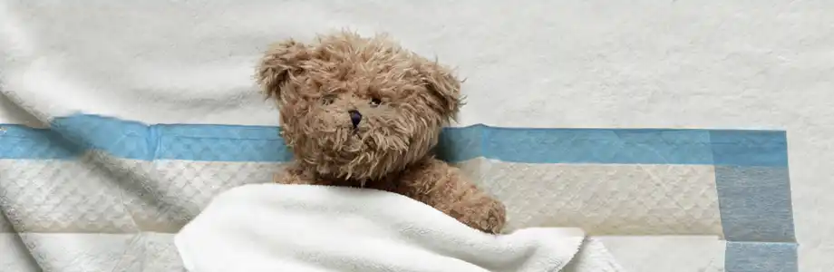Bed pad on bed with teddybear
