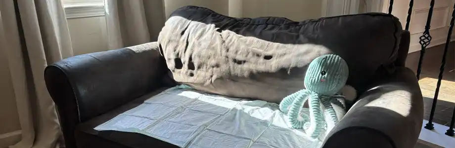 oversized chair protected